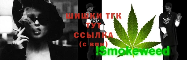 дживик Сосновый Бор