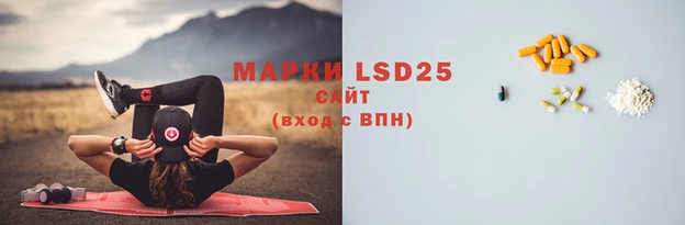 mdpv Богородицк