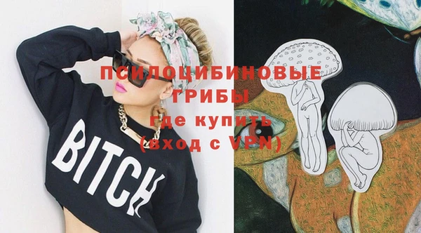 экстази Богородск