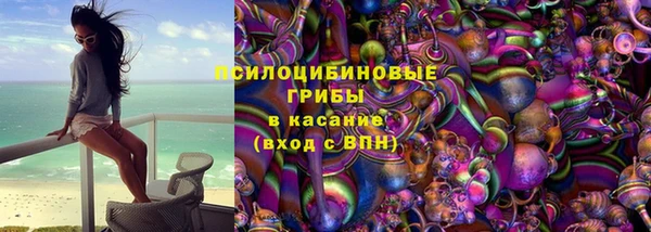 mdpv Богородицк