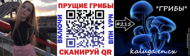 Псилоцибиновые грибы Psilocybine cubensis  даркнет клад  Няндома 